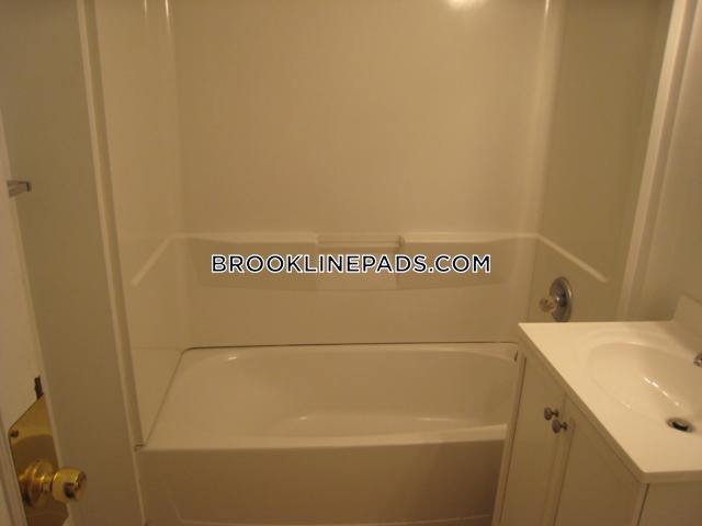60 Egmont St unit 6, Brookline, MA 02446 - photo 4