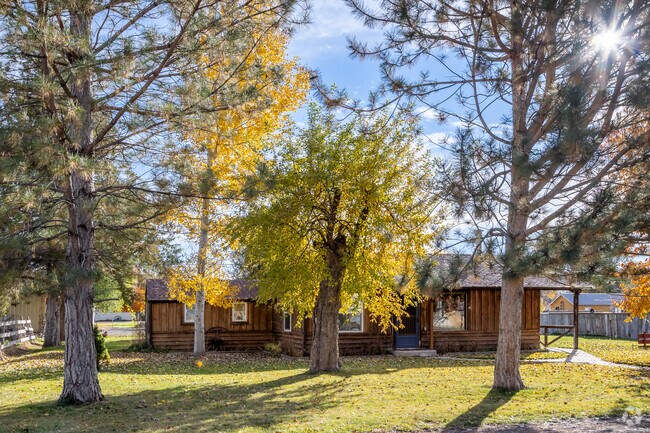Ranch homes in Wendell often sit on shaded lots with mature trees.