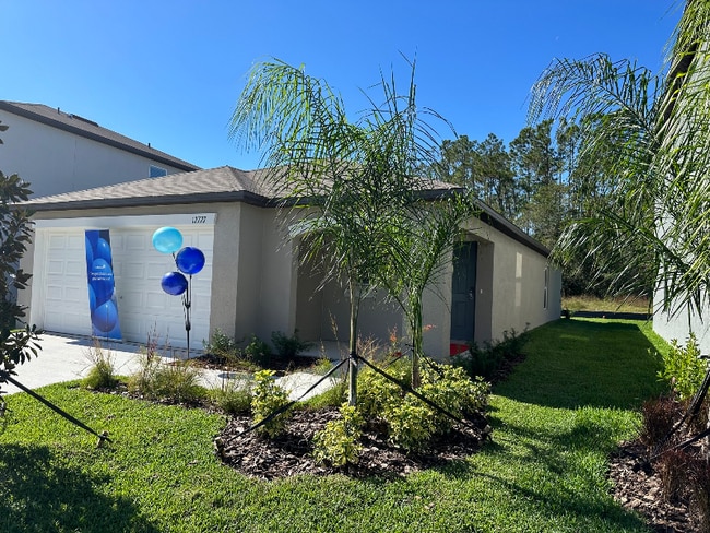 12727 Maple Bonsai Dr, Riverview, FL 33579 - photo 2