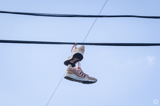 Mischievous shoes dangle from the power lines in West Arlington.