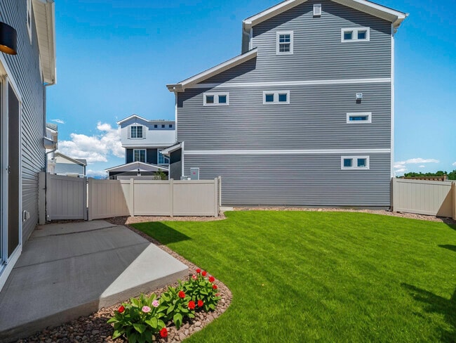 5699 Dakan Loop, Colorado Springs, CO 80938 - photo 4