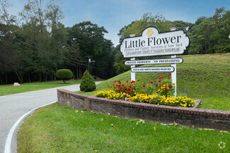 Little Flower School
