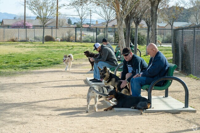 Bring your best four legged friend to socialize with other pups at Civic Center Dog Park.