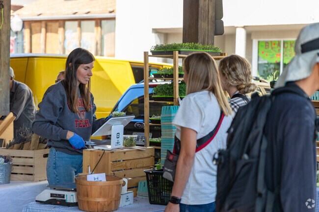 Residents of Mountain View can enjoy seasonal community events and festivals.