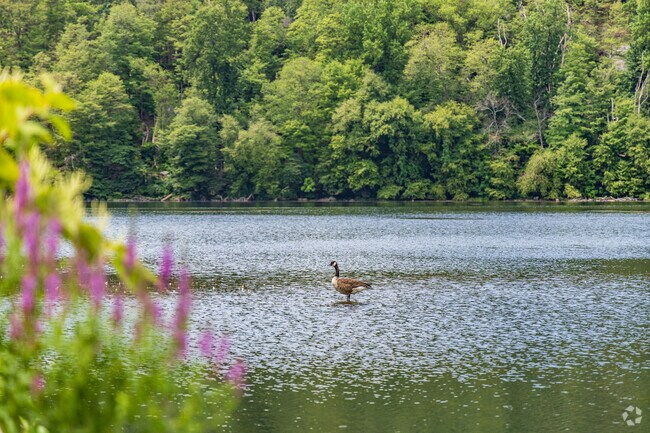 Brooks Lake Park is a serene green space that offers a tranquil escape with its lush landscape.