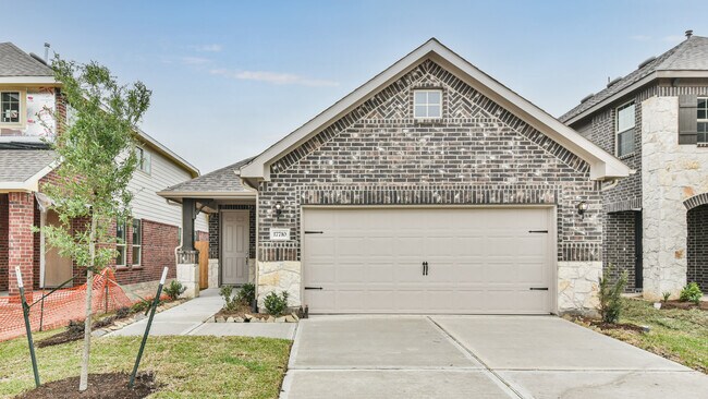 21731 Carballo Oak unit 36456180, Tomball, TX 77377 - photo 2