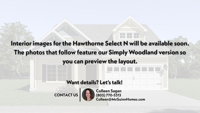 3300 Sunset Blvd unit 38779179, West Columbia, SC 29169 - photo 3