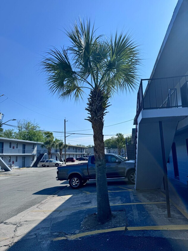 Garden Jax 5141 Shenandoah Ave, Jacksonville, FL