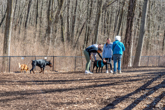 Locals love taking their pets to Jared's Dog Park in Roosevelt Forest.