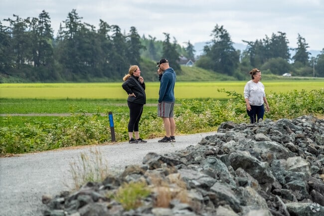 The Shore Trail in Bay View offers majestic views of Padilla Bay and adjacent farmland.
