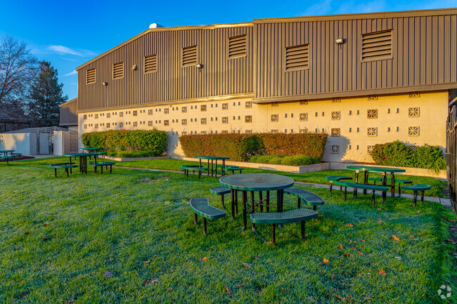 Community Collaborative Charter School students love to relax on the green grass picnic area.
