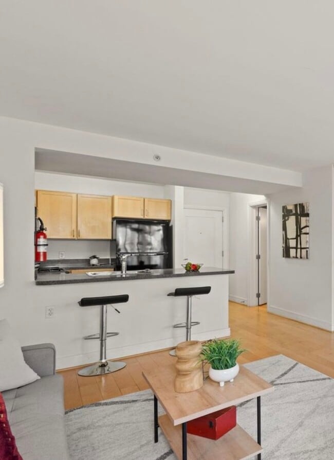 Potomac Place Tower unit N216, Washington, DC 20024 - photo 7