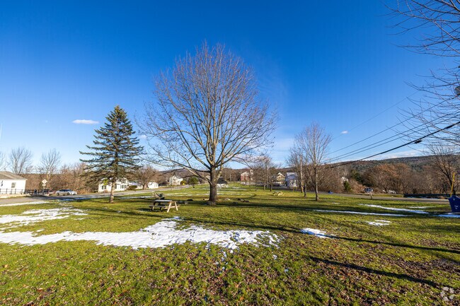 Town Common Park offers an open, peaceful stretch of green where neighbors gather, seasons roll by, and the landscape feels timeless.