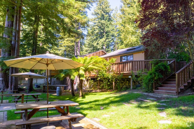 Enjoy the relaxing natural retreat of Beauregard Vineyard in Bonny Doon.