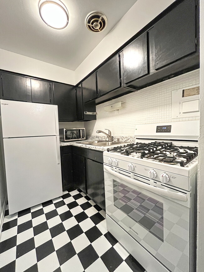 736 W Buena Ave Unit 308, Chicago, IL 60613