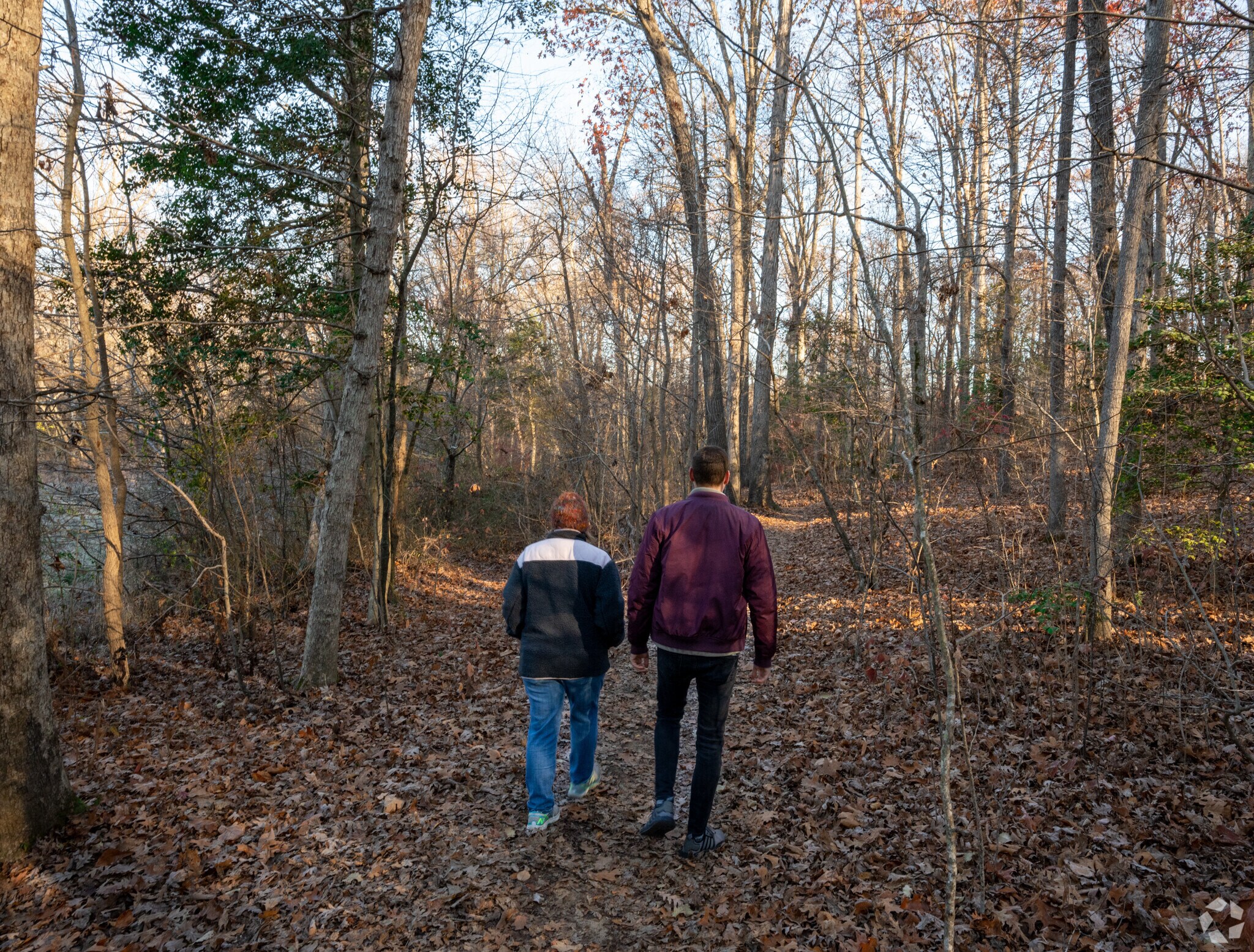 People walking down one of the trails at Powhite Park.