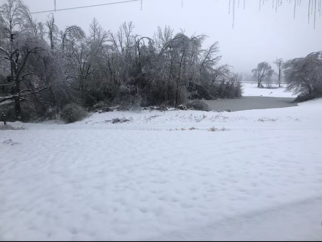 150 Arbor Ln, Tullahoma, TN 37388 - photo 3