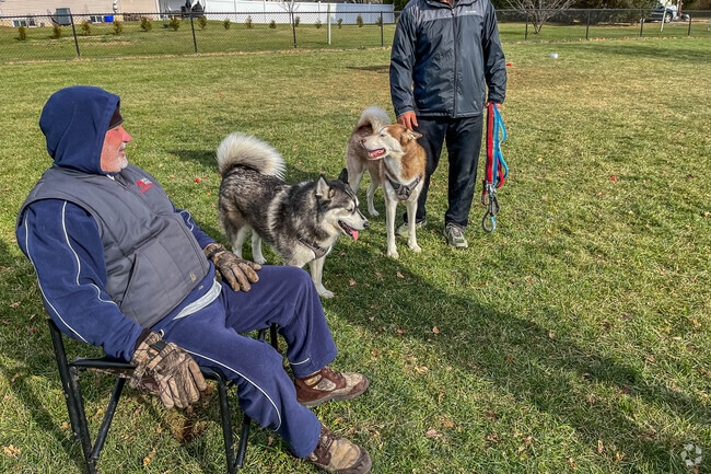 Head down to the Allen Township Dog Park in Allen Township.