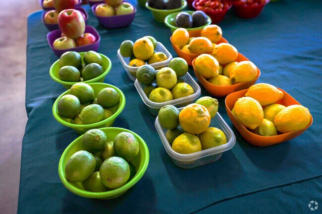 Fresh fruit and veggies at a great price, Reed Groves, a local family market in Weirsdale.