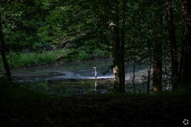 Enjoy the wildlife that lives in Crofton.