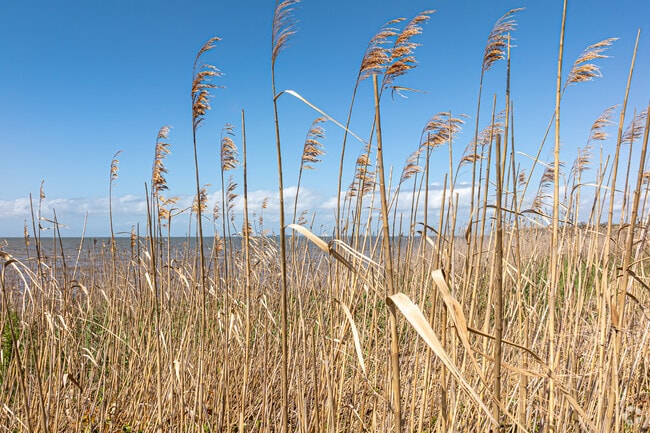 Gulf Hills has many opportunities to enjoy nature.