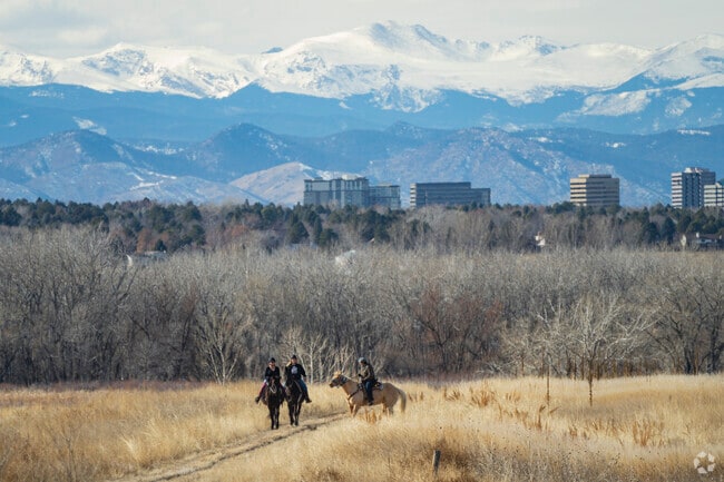 Catch a horseback ride at near by Cherry Creek SP in Foxfield, Colorado.