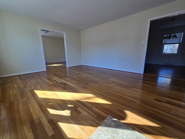 20716 Vernetta Ln, South Chesterfield, VA 23803 - photo 6