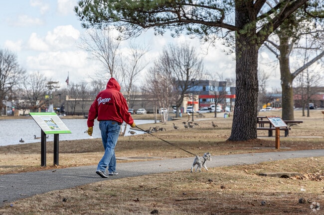 Springdale is a dog friendly city with parks and paths for all sizes.
