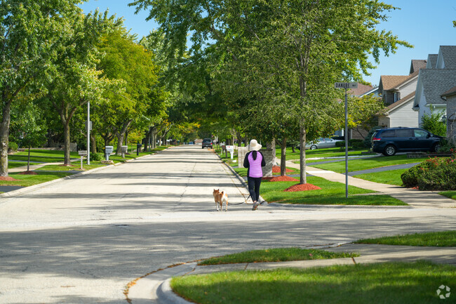 Cider Creek is a perfect place to walk your dogs.