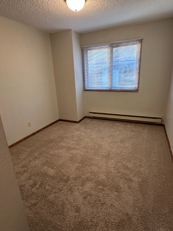 4207 E Comanche Dr, Laramie, WY 82072 - photo 5