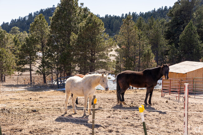 Horse stables are common in Peyton.