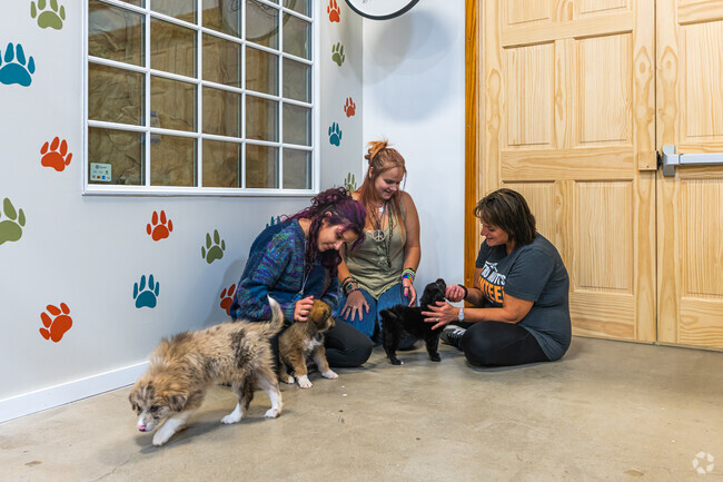 Mastro Mutts at Midwest Market hosts adoption events and sells pet supplies and treats.
