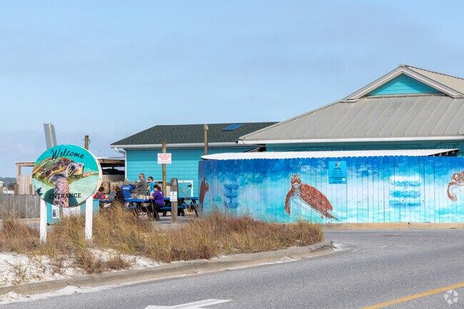 Navarre Beach Sea Turtle Conservation Center is home to rescued green sea turtle Sweet Pea.