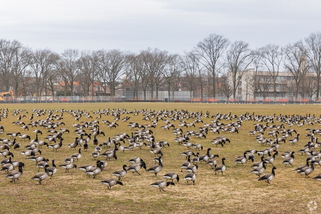 Wildlife is abundant in parts of Madison.
