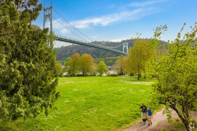 Dog walks and bridge views in Cathedral Park.