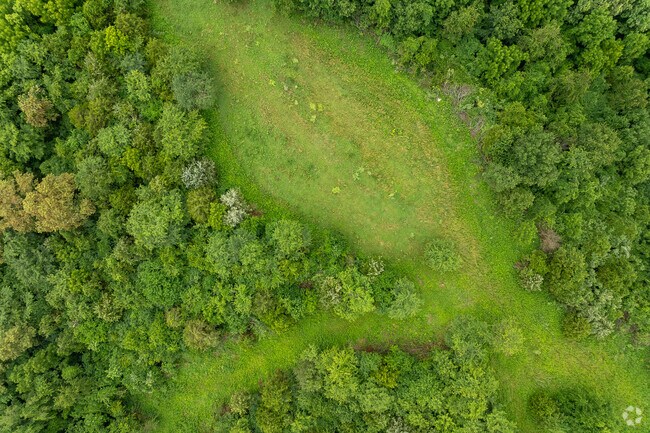 Veterans Memorial WMA features both wooded areas and grassland.