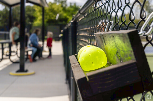 Pickleball is quickly becoming a popular sport for Nicholls locals.