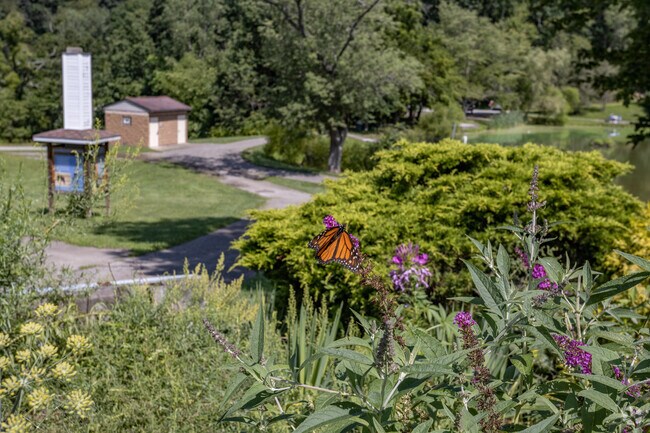 Make sure to stop by the flowers, you may see some beautiful butterflies in Burrell Lake Park.