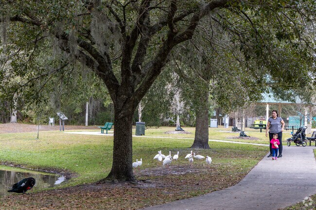 Locals feed the ducks at Cuba Hunter Park in Spring Park.