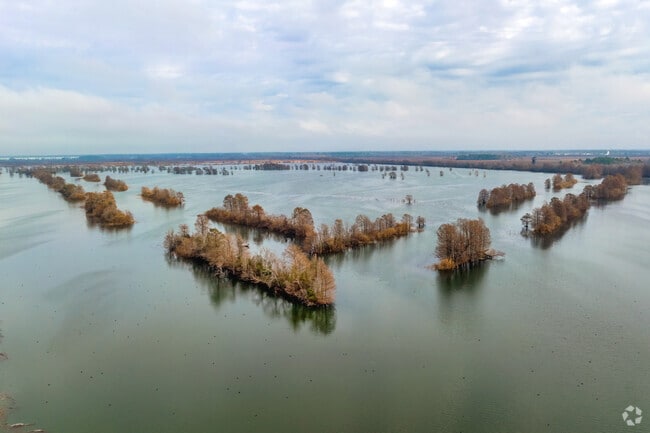 Sheldon Lake is the cornerstone of beauty and activity for residents in Sheldon.
