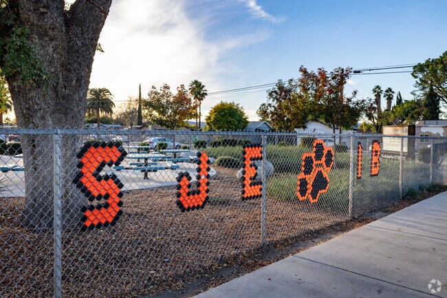 School spirit on display at San Jacinto Elementary School.