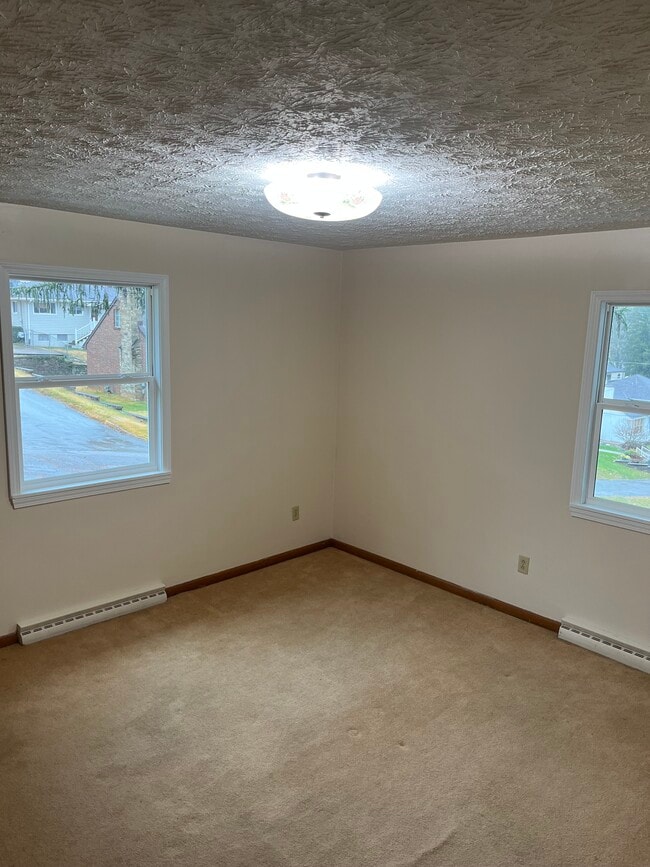 889 Ivy Ave, Wheeling, WV 26003 - photo 6