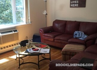 59 Parkman St Unit 3A, Brookline, MA 02446