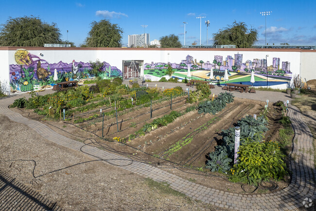 Children may learn to garden at Phoenix’s Garfield Elementary School.