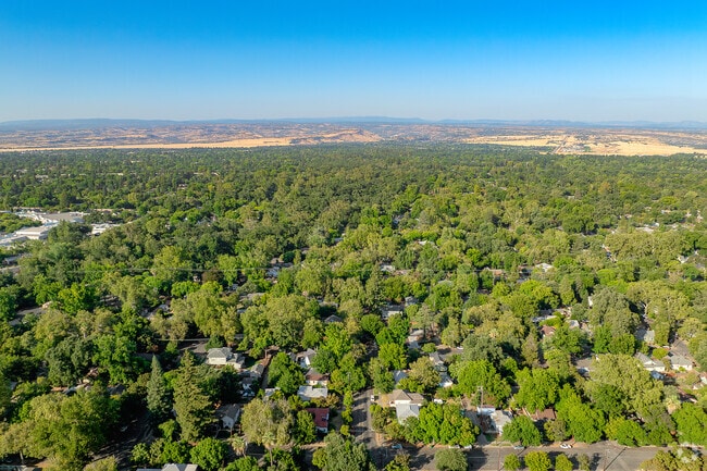 East Streets neighborhood shares a border with the south side of Bidwell Park.