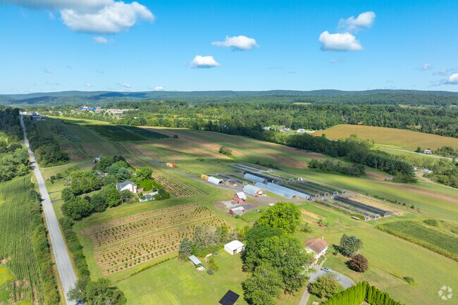 There is not much light pollution in Orwigsburg.