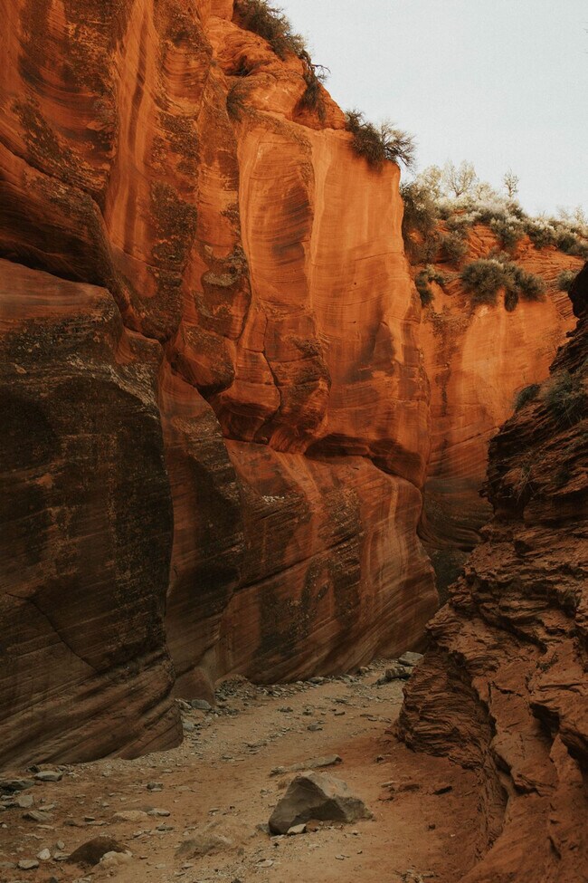 523 W Vance Dr unit ID1249895P, Kanab, UT 84741 - photo 2