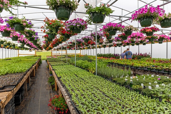 Pick out some new flowers for your home at S&J Produce in Mooresburg.