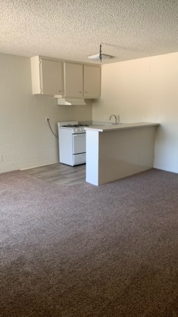 Haskell Towers, North Hills, CA 91343 - photo 6