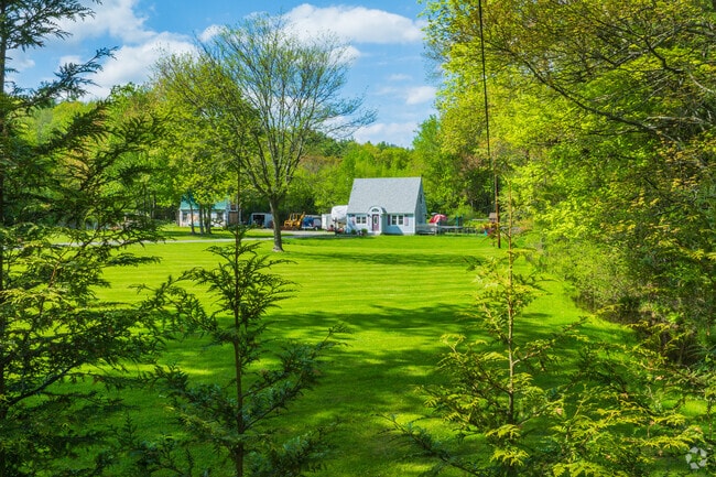 Smaller Cape Cod-style and Cottage-like homes are set back and surrounded by an abundance of trees and grass in Shirley.